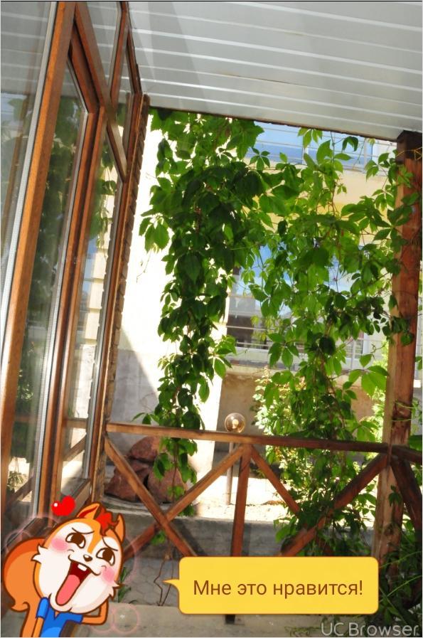 Hotel Gostinyi Dvor Bosteri Εξωτερικό φωτογραφία